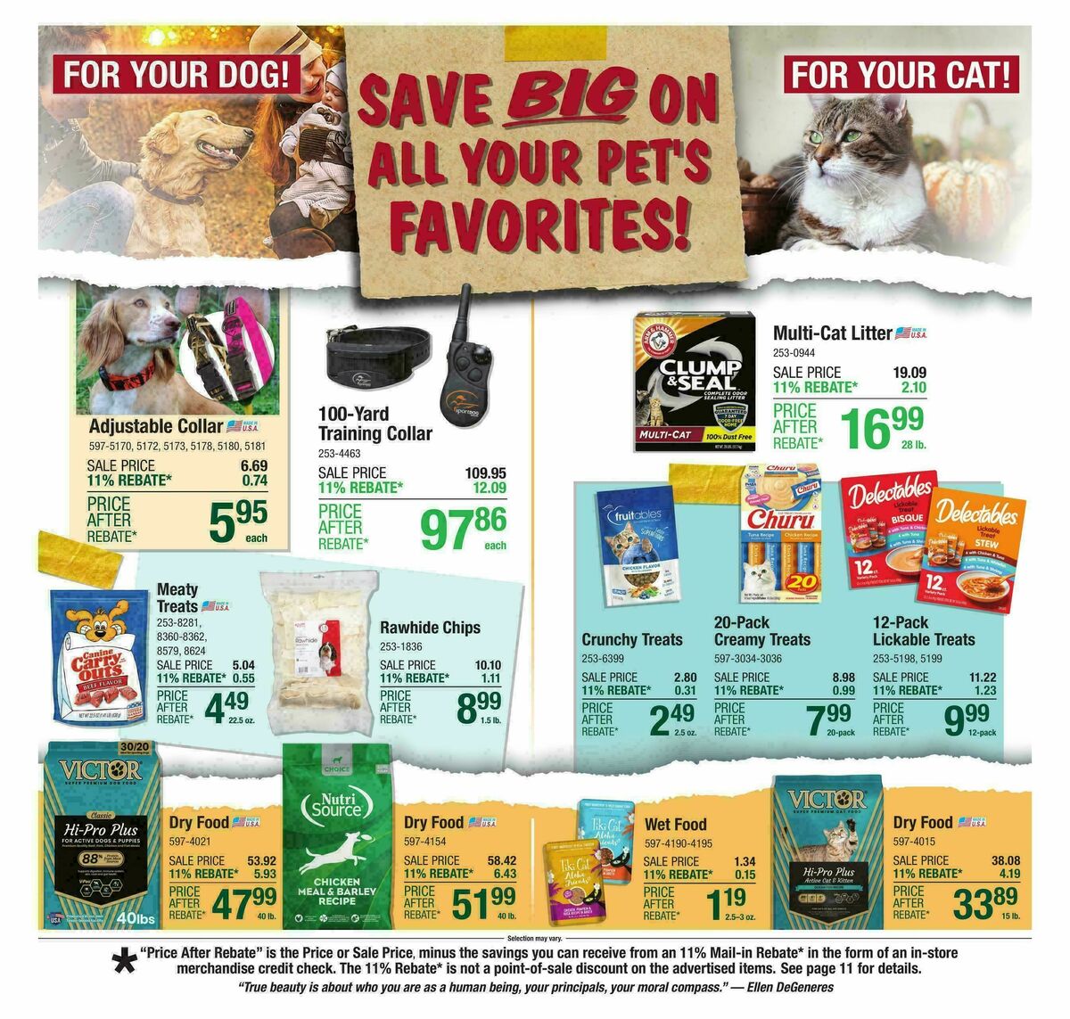 Menards Weekly Ad from October 29