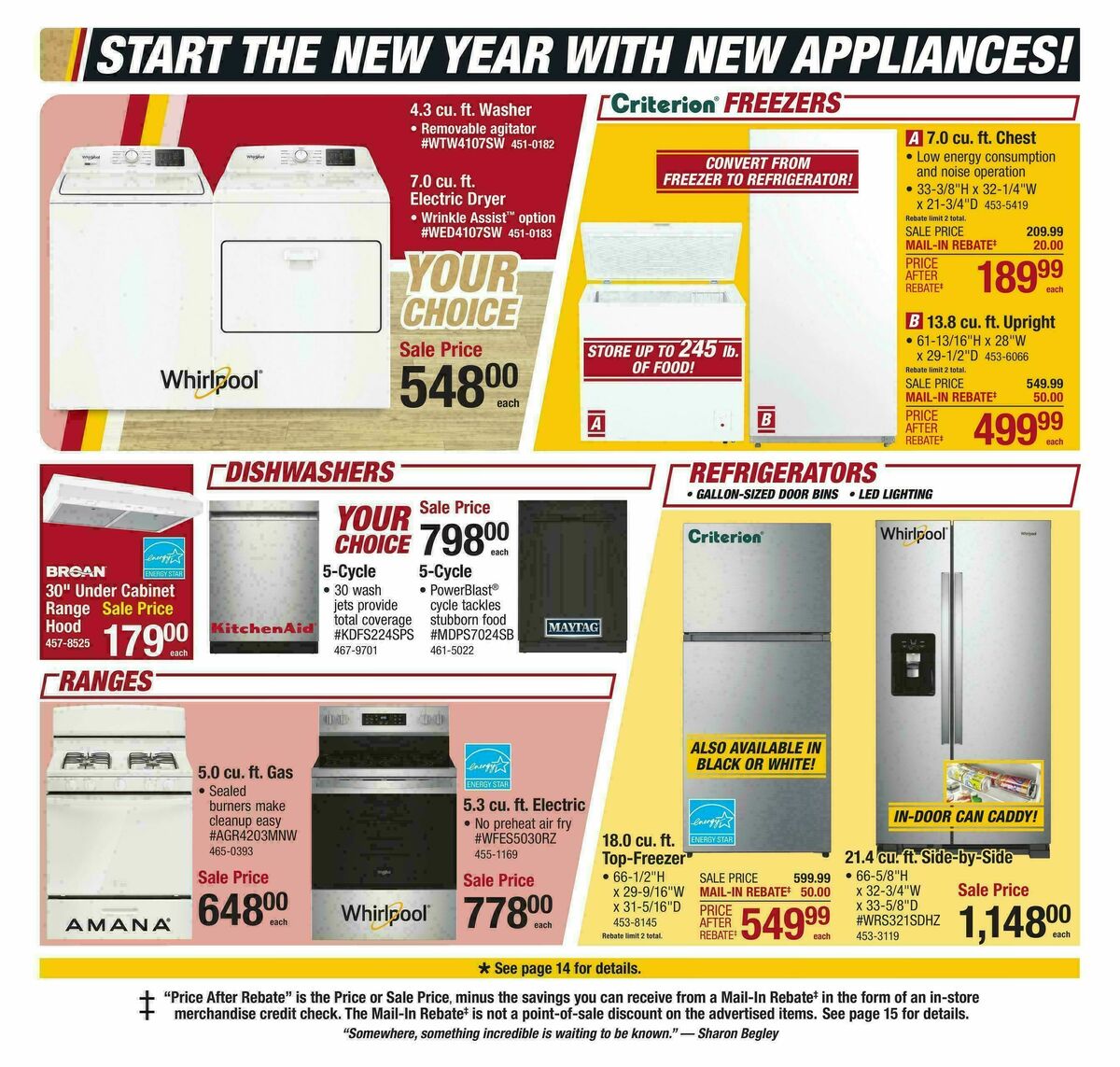 Menards Big Buys, Big Savings Sale Weekly Ad from January 11
