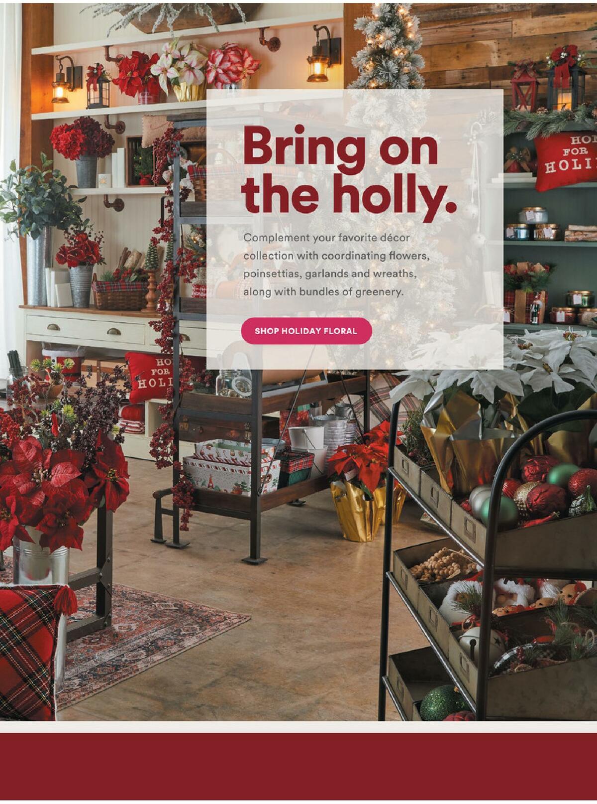 Michaels Holiday Weekly Ad from October 30