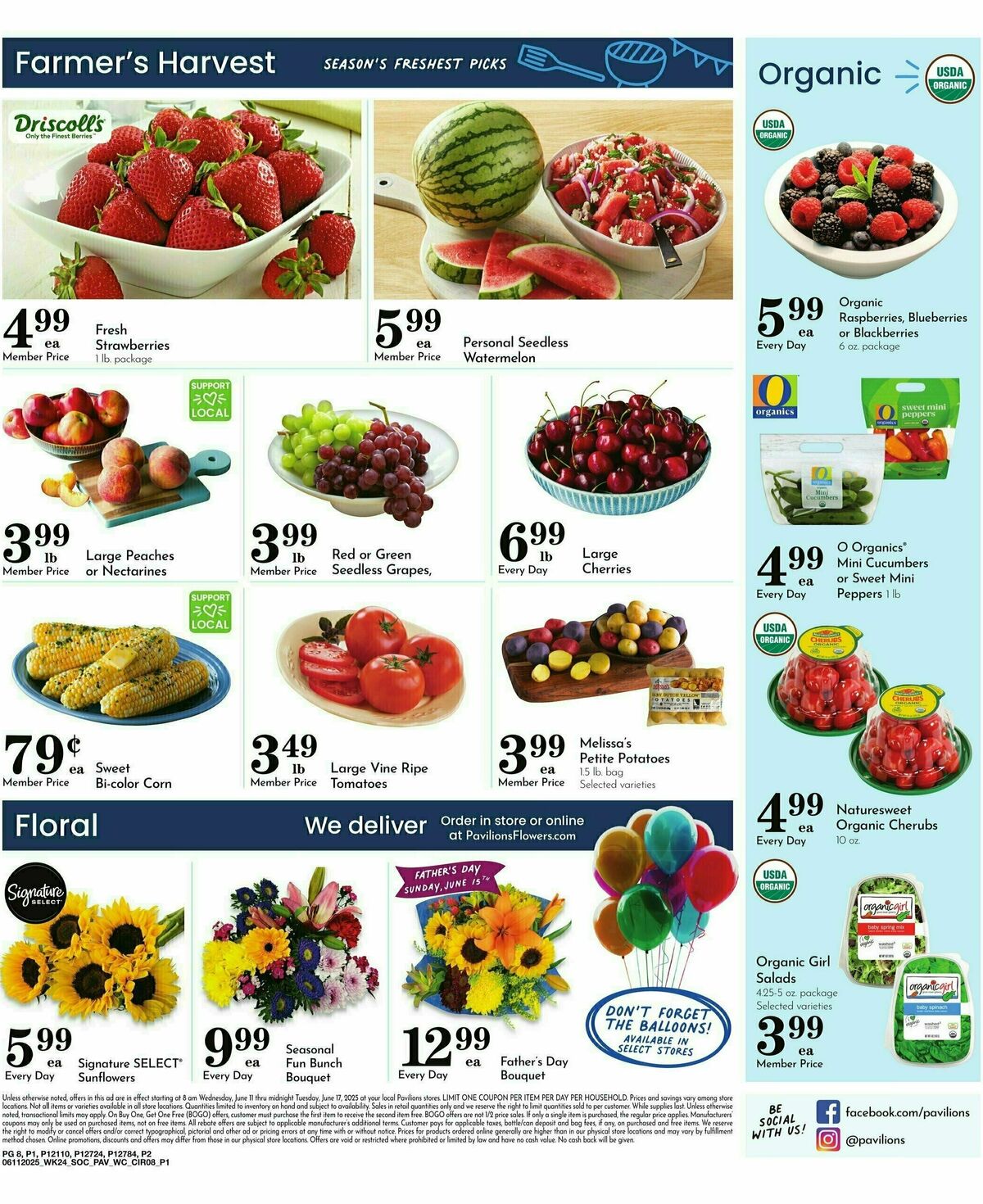 Pavilions Weekly Ad from June 11