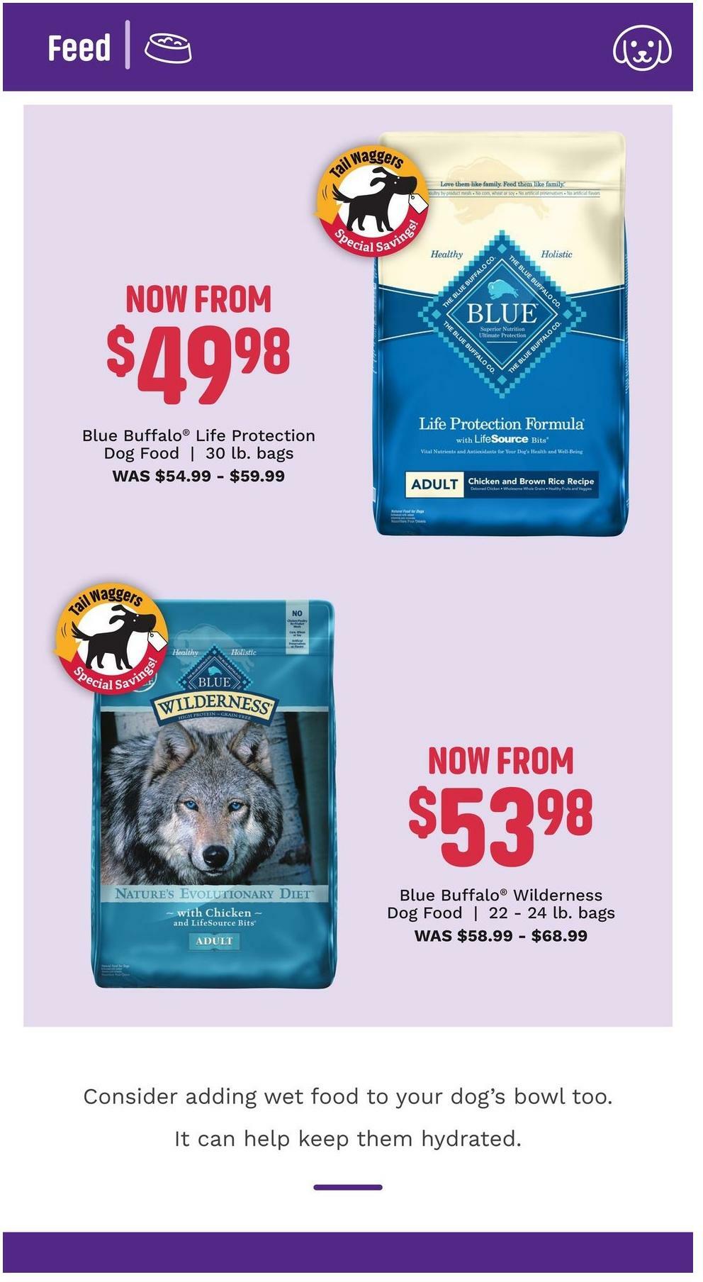 Pet Supermarket Dog Savings Weekly Ad from June 1