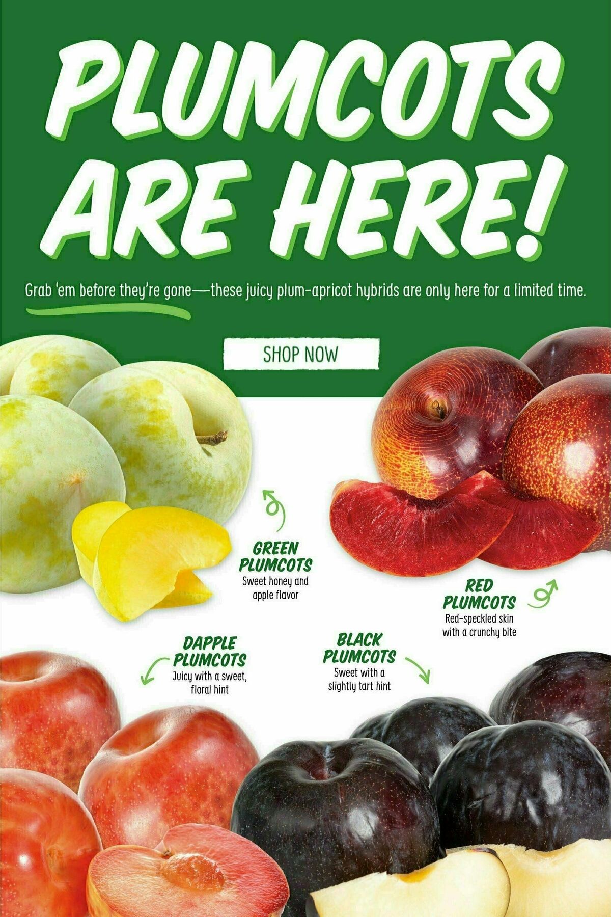 Sprouts Farmers Market Weekly Ad from August 16