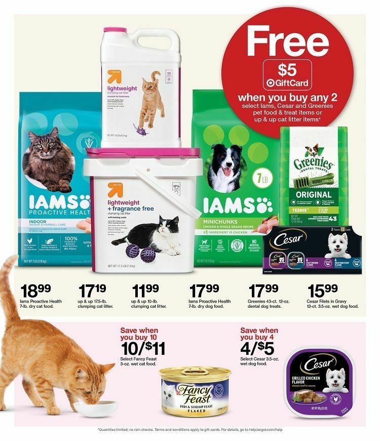 Target Weekly Ad from December 25