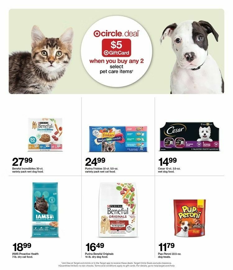 Target Weekly Ad from December 29