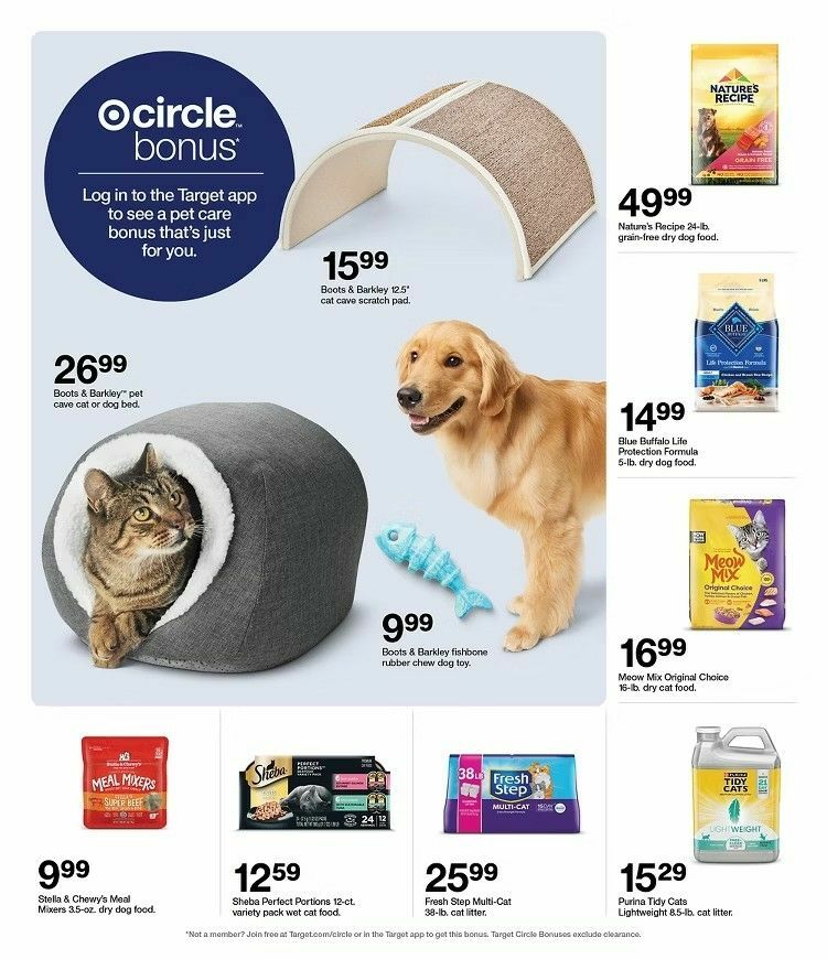 Target Weekly Ad from August 31