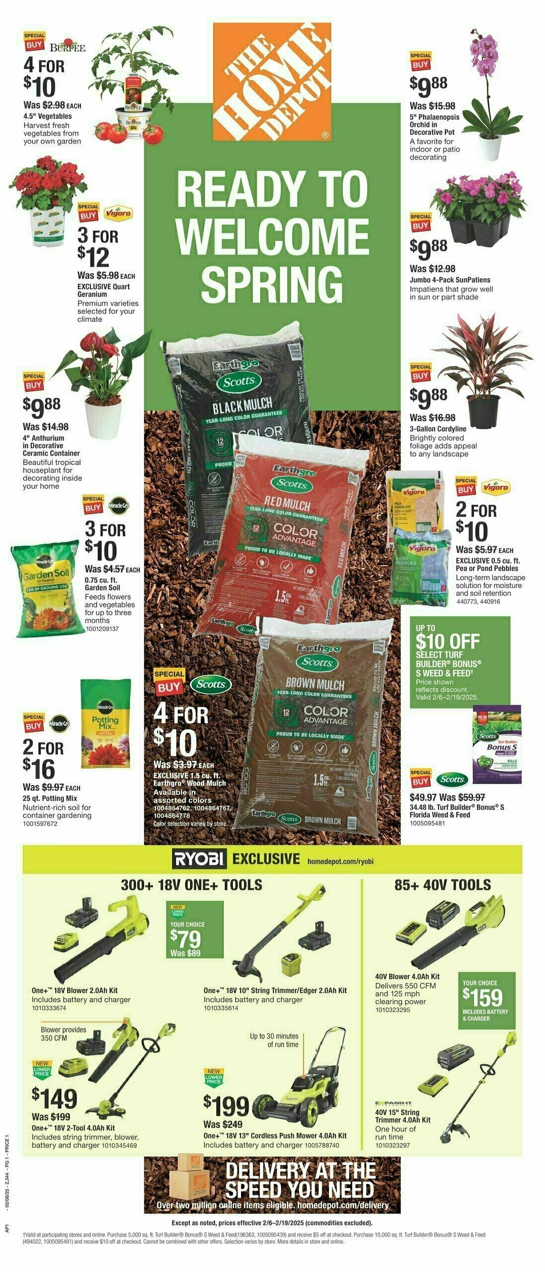 The Home Depot Spring in the South Weekly Ad from February 6
