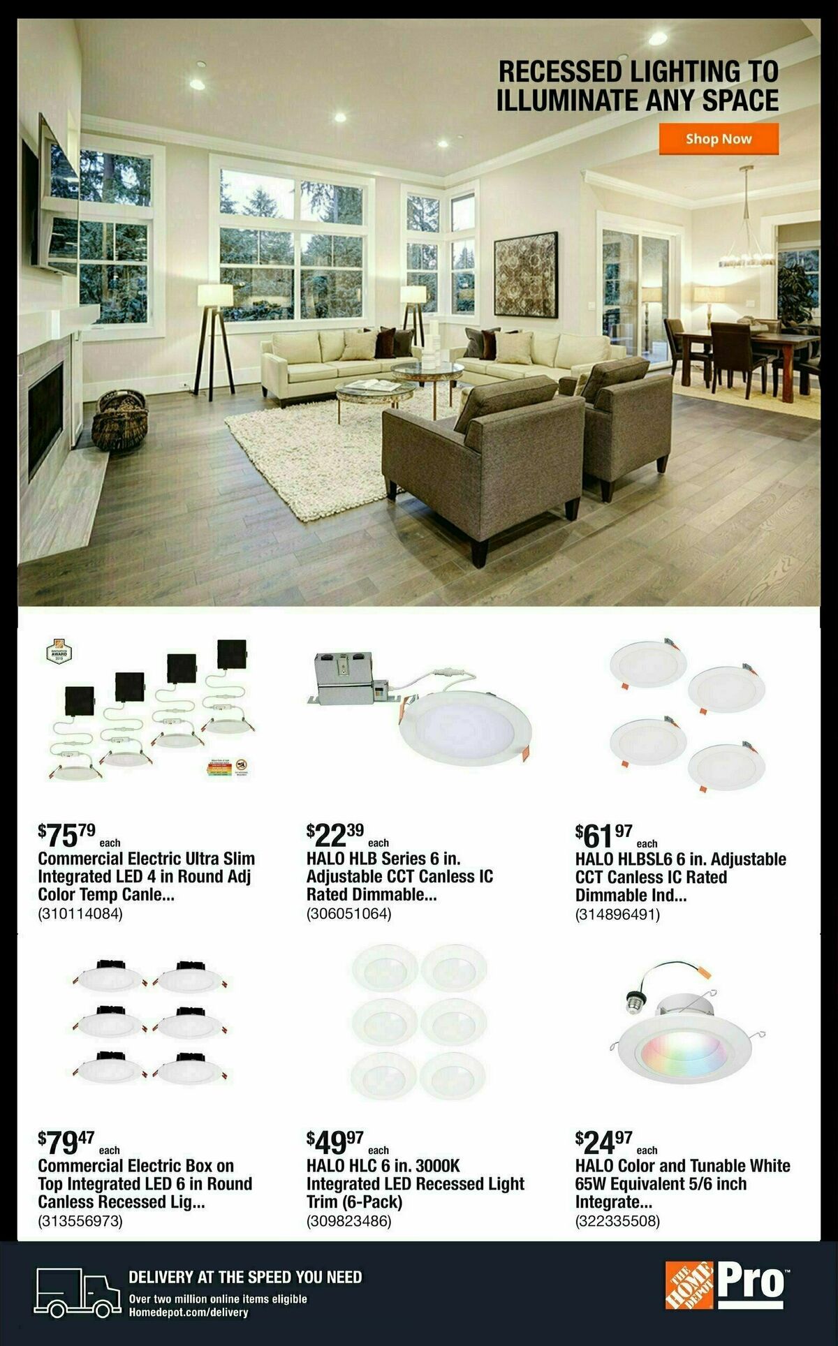 The Home Depot Weekly Ad from June 2