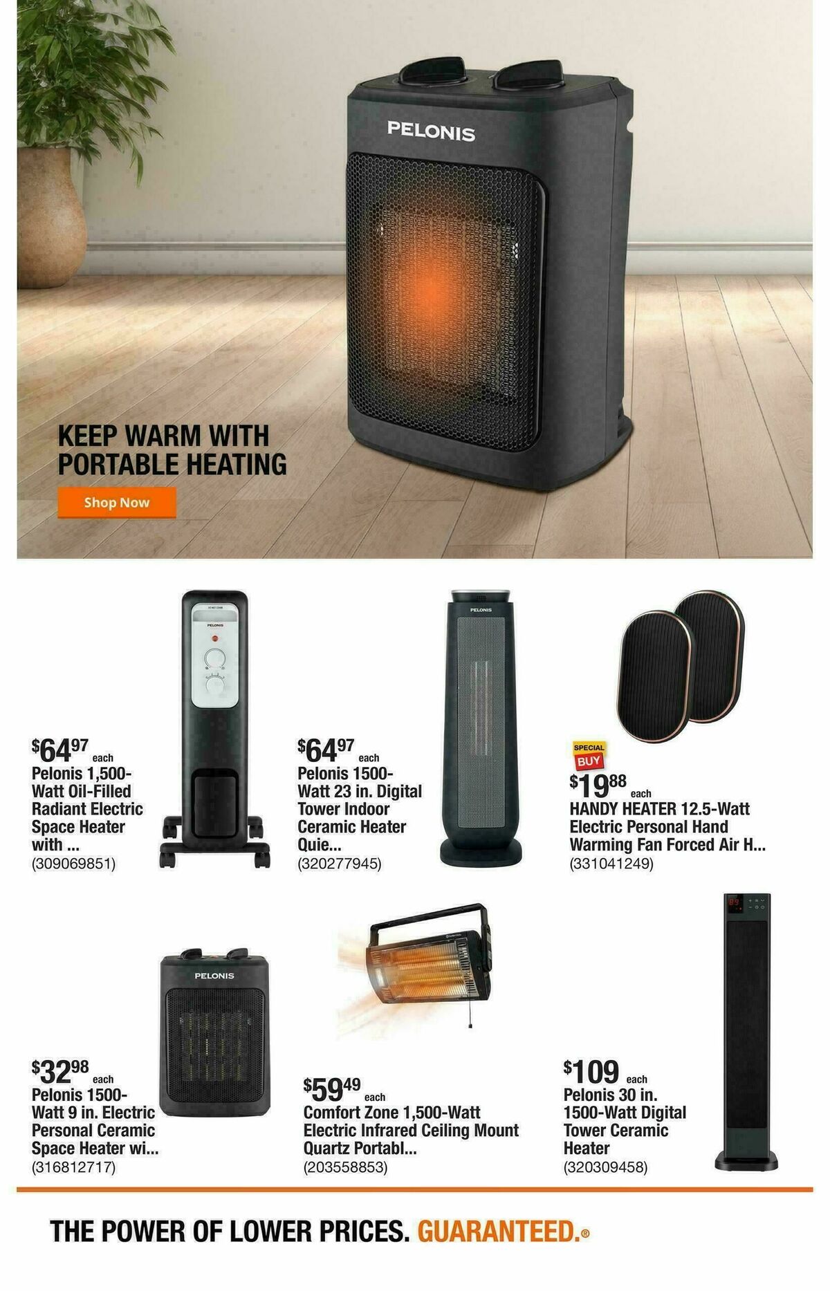 The Home Depot Weekly Ad from January 1