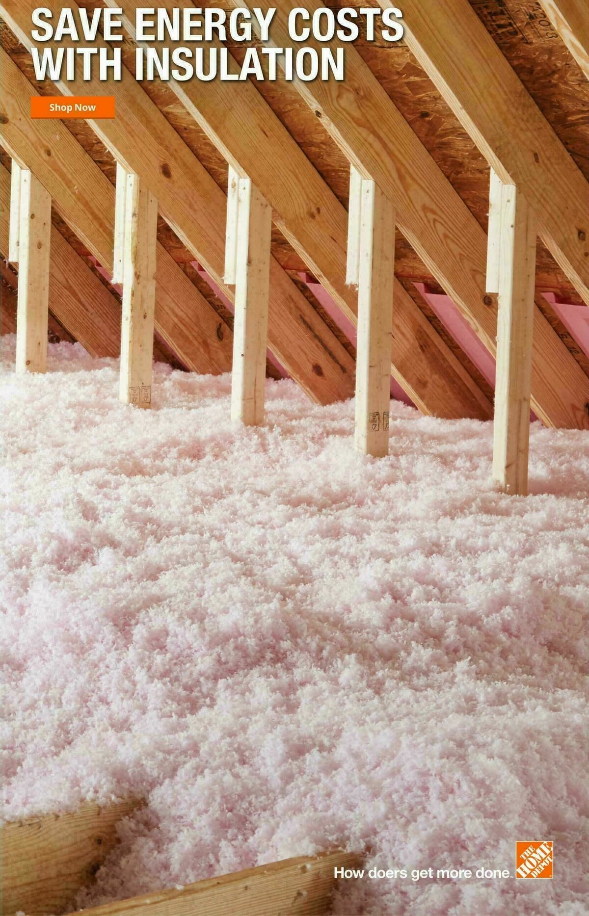 The Home Depot Weekly Ad from January 29