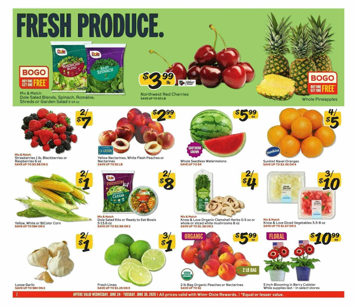 Winn-Dixie Weekly Ad from June 24