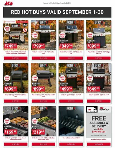 Ace Hardware