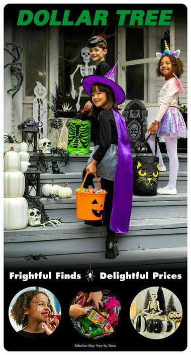 Dollar Tree Main Street Longmont CO Hours Weekly Ad Dollar Tree Main Street Longmont CO Hours Weekly Ad