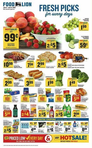 Food Lion - Future