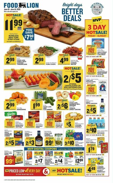 Food Lion - Future
