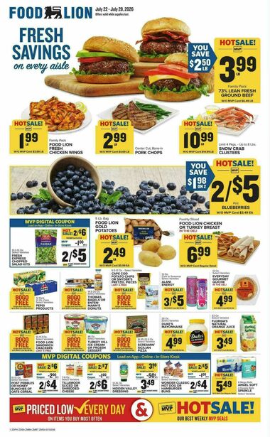 Food Lion - Future