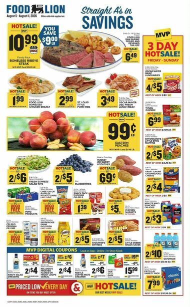Food Lion - Future