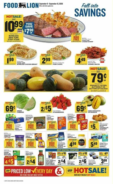 Food Lion - Future