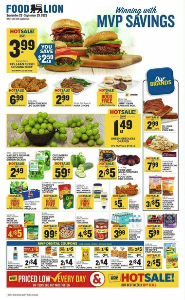 Food Lion - Future