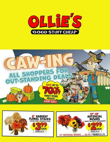 Ollie's Bargain Outlet