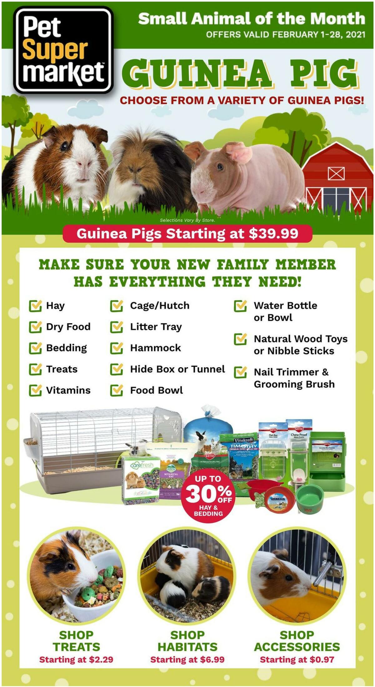 Pet Supermarket Guinea Pig from February 1