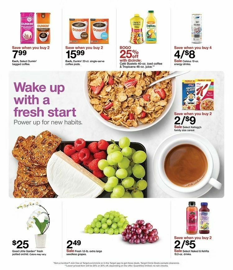 Target Weekly Ad & Weekly Deals from December 28 - Page 5